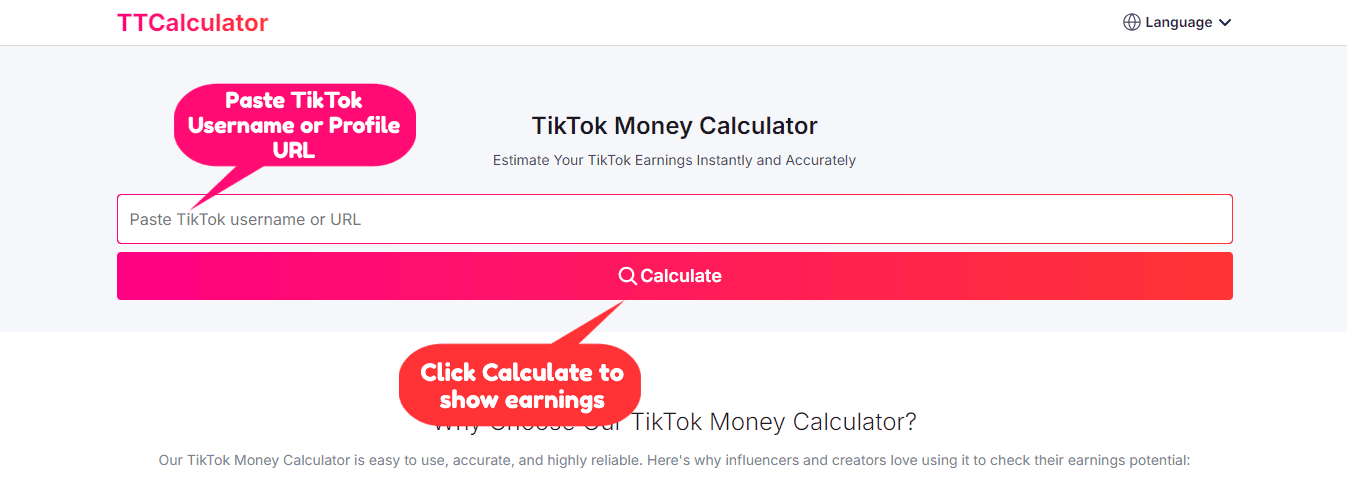 اپنا TikTok یوزر نیم درج کریں اور کمائی دیکھنے کے لیے calculate پر کلک کریں